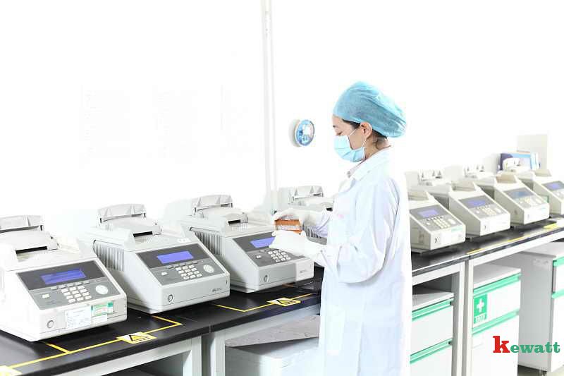 分子病理实验室-定性PCR扩增区