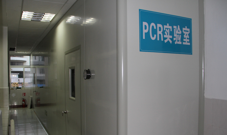 分散式PCR实验室