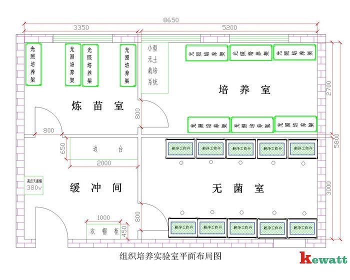 植物细胞培养室设计图片